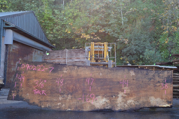 Big Leaf Maple Slab 090222-07