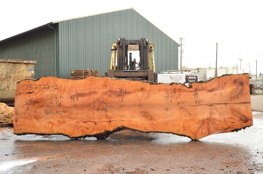 Big Leaf Maple Slab 032922-02