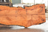 Big Leaf Maple Slab 032922-02
