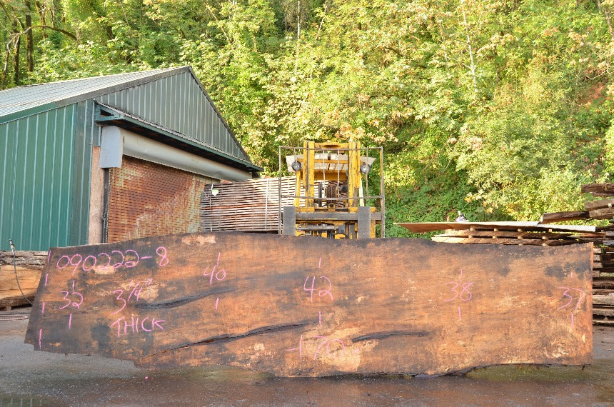 Big Leaf Maple Slab 090222-08