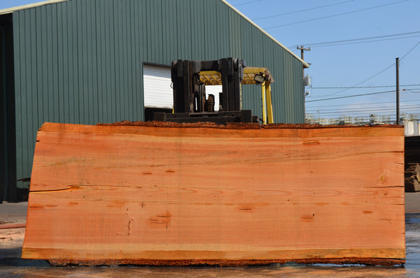 080619-05 Oregon Fir Slab