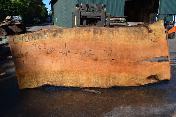 Big Leaf Maple Slab 092021-03