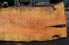 Big Leaf Maple Slab 092021-03