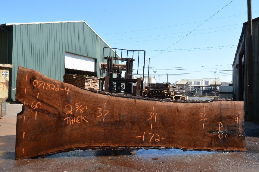 Oregon Black Walnut Slab 071822-04