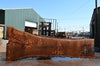Oregon Black Walnut Slab 071822-04