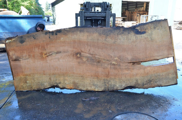 Big Leaf Maple Slab 092021-04