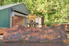 Big Leaf Maple Slab 090222-09