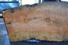 Big Leaf Maple Slab 092021-04