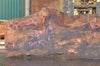 Big Leaf Maple Slab 090222-09