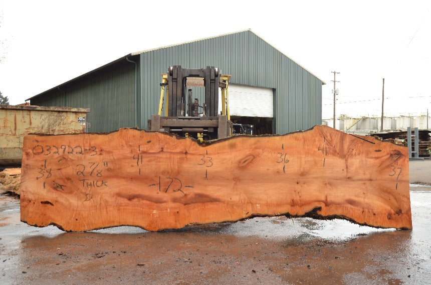 Big Leaf Maple Slab 032922-03