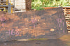 Big Leaf Maple Slab 090222-09