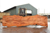 Big Leaf Maple Slab 032922-03