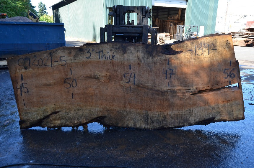 Big Leaf Maple Slab 092021-05