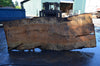 Big Leaf Maple Slab 092021-05