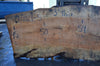 Big Leaf Maple Slab 092021-05
