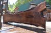 Oregon Black Walnut Slab 071822-06