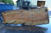 Big Leaf Maple Slab 092021-06