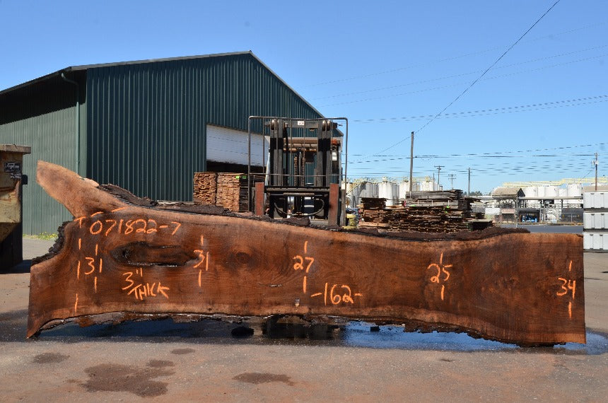 Oregon Black Walnut Slab 071822-07
