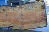 Big Leaf Maple Slab 092021-06