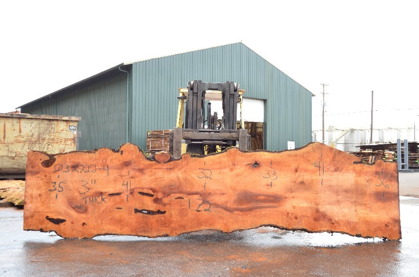 Big Leaf Maple Slab 032922-04