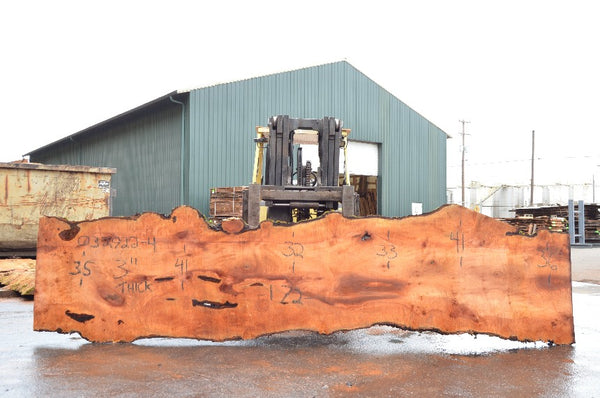 Big Leaf Maple Slab 032922-04