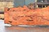 Big Leaf Maple Slab 032922-04