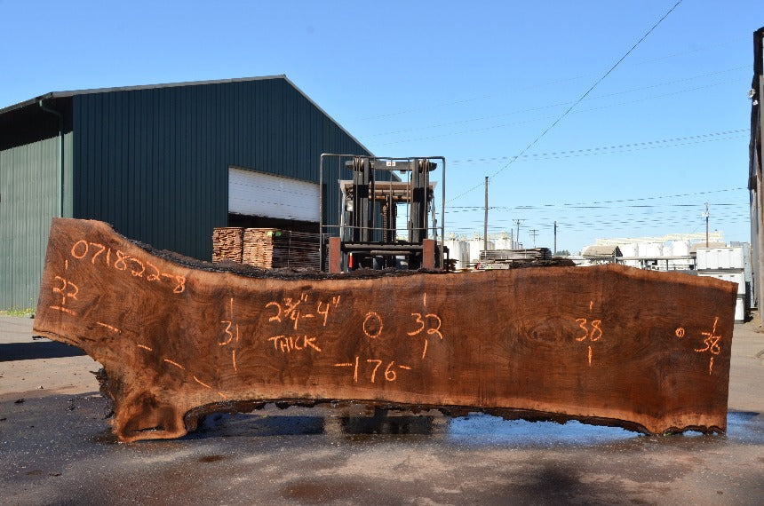 Oregon Black Walnut Slab 071822-08