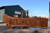 Oregon Black Walnut Slab 071822-08