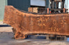 Oregon Black Walnut Slab 071822-08