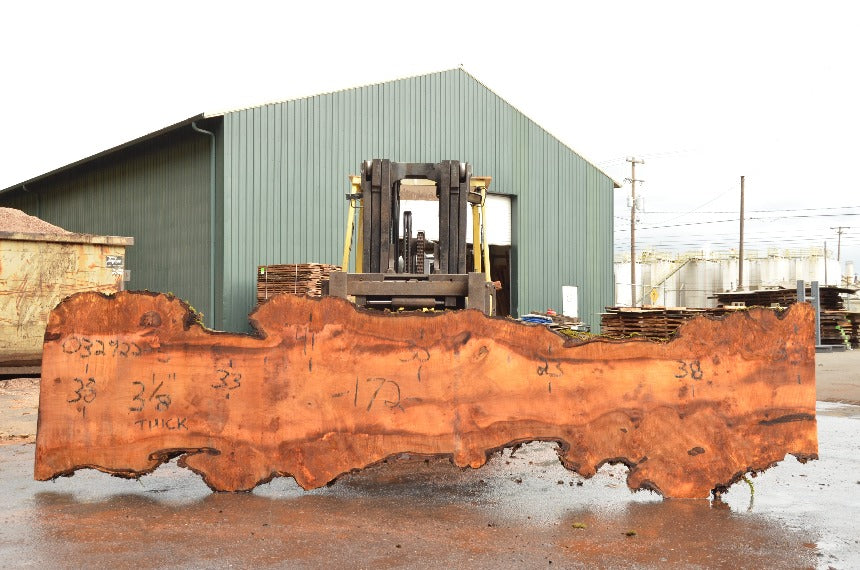 Big Leaf Maple Slab 032922-05