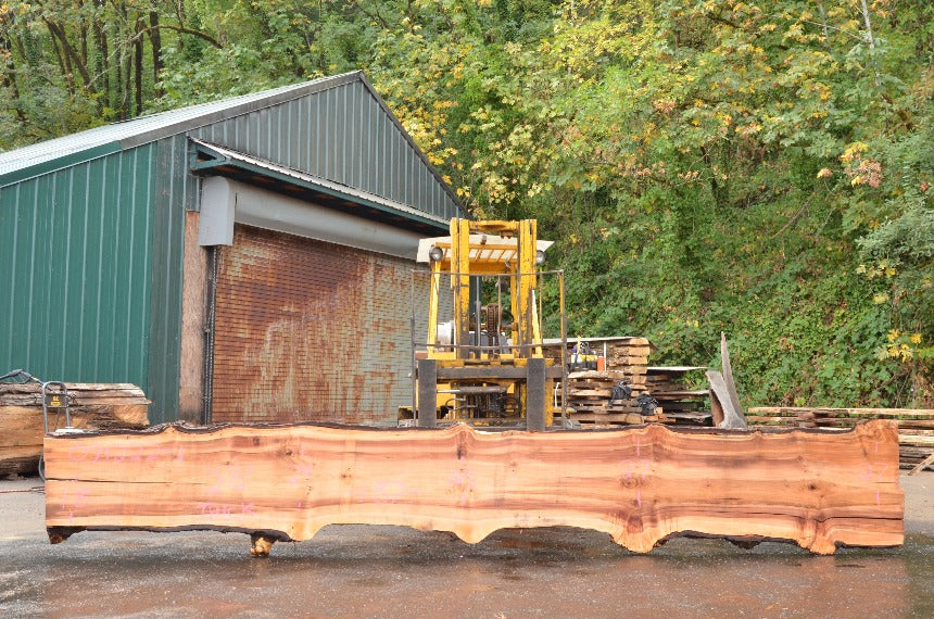 Big Leaf Maple Slab 091222-01
