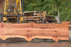 Big Leaf Maple Slab 091222-01