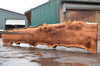Big Leaf Maple Slab 091222-03