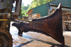 Oregon Black Walnut Slab 072122-12