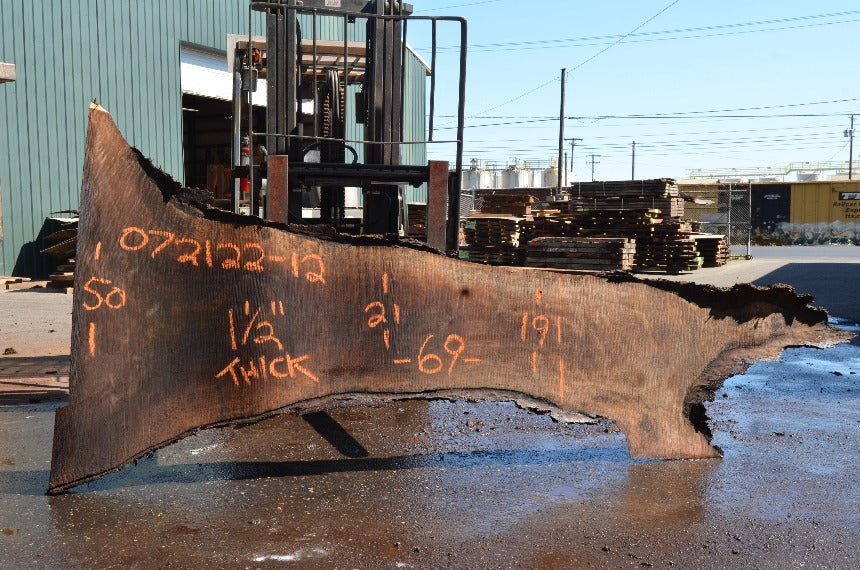 Oregon Black Walnut Slab 072122-12
