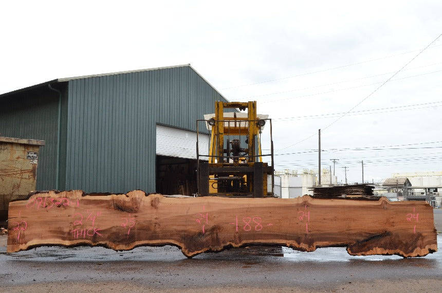 Big Leaf Maple Slab 091322-01