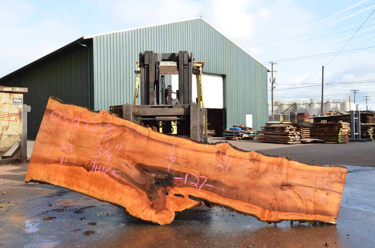 Big Leaf Maple Slab 033122-03