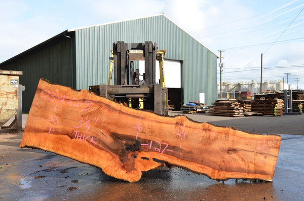 Big Leaf Maple Slab 033122-03