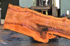 Big Leaf Maple Slab 033122-03