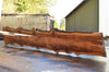 Big Leaf Maple Slab 091322-03
