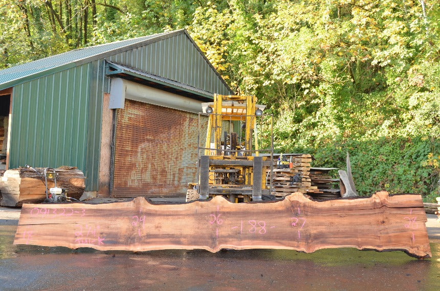 Big Leaf Maple Slab 091322-03