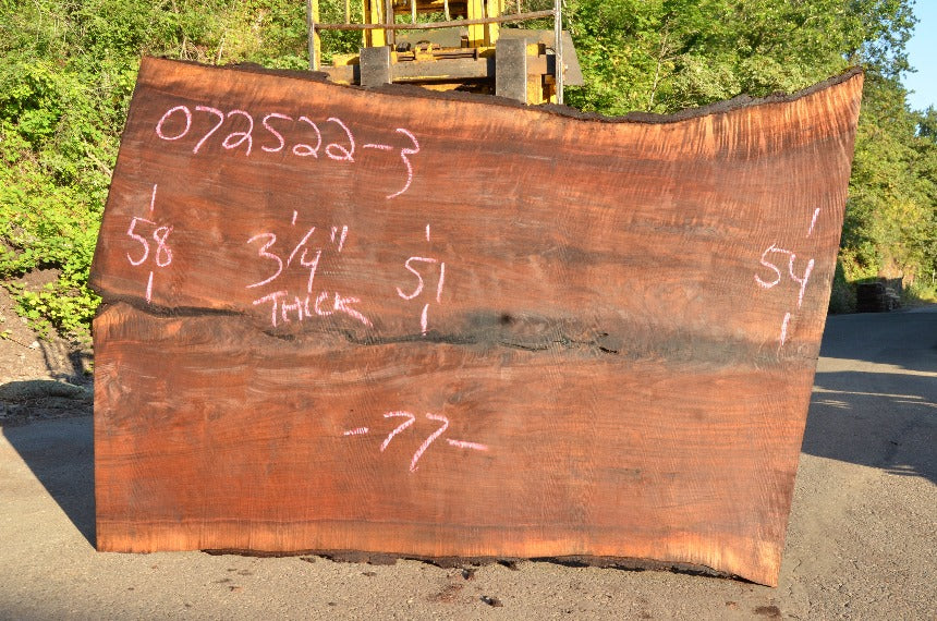 Oregon Black Walnut Slab 072522-03
