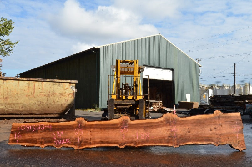 Big Leaf Maple Slab 091322-04