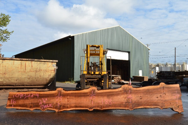 Big Leaf Maple Slab 091322-04