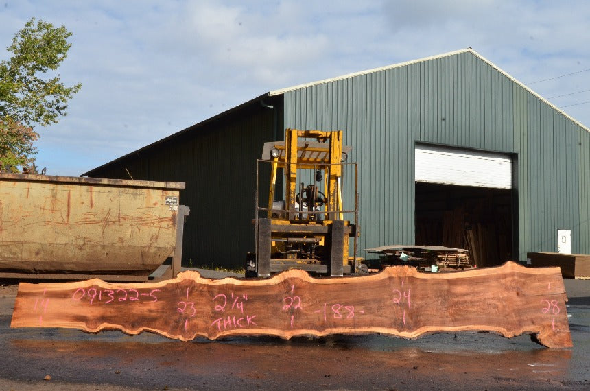 Big Leaf Maple Slab 091322-05