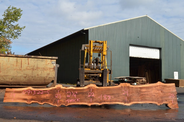 Big Leaf Maple Slab 091322-05