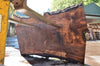 Oregon Black Walnut Slab 072522-06