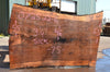 Oregon Black Walnut Slab 072522-06