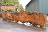 Big Leaf Maple Slab 091422-02