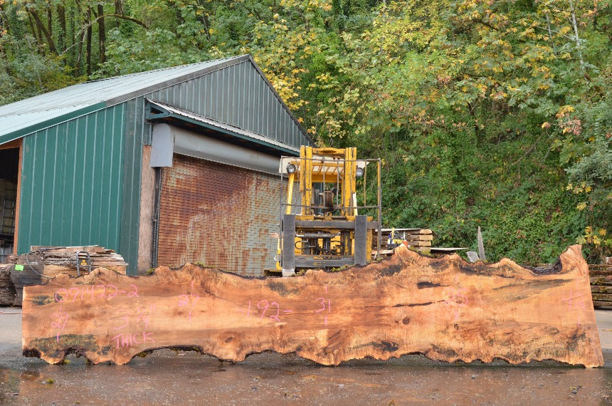 Big Leaf Maple Slab 091422-02